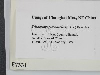 登錄號:F0007331藏品圖，第2張