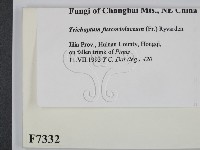 登錄號:F0007332藏品圖，第2張