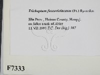 登錄號:F0007333藏品圖，第2張