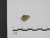 登錄號:F0007333藏品圖，第3張