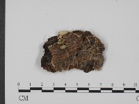 登錄號:F0007334藏品圖，第3張