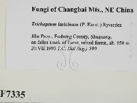 登錄號:F0007335藏品圖，第2張