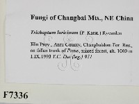 登錄號:F0007336藏品圖，第2張