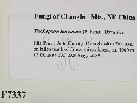 登錄號:F0007337藏品圖，第2張