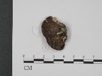 登錄號:F0007337藏品圖，第1張