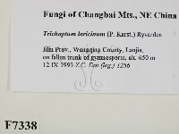 登錄號:F0007338藏品圖，第2張