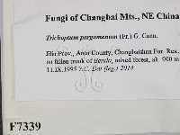 登錄號:F0007339藏品圖，第2張