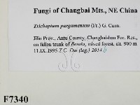 登錄號:F0007340藏品圖，第2張