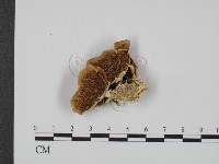 登錄號:F0007340藏品圖，第1張