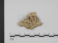 登錄號:F0007340藏品圖，第3張