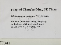 登錄號:F0007341藏品圖，第2張