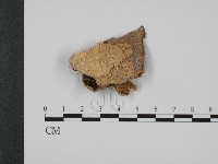 登錄號:F0007341藏品圖，第3張