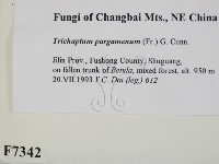 登錄號:F0007342藏品圖，第2張