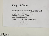 登錄號:F0007343藏品圖，第2張