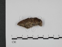 登錄號:F0007343藏品圖，第3張