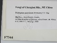 登錄號:F0007344藏品圖，第2張