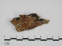 登錄號:F0007344藏品圖，第1張