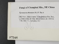 登錄號:F0007345藏品圖，第2張