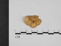 登錄號:F0007345藏品圖，第3張