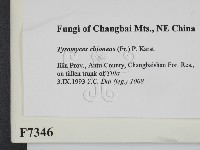 登錄號:F0007346藏品圖，第2張