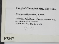 登錄號:F0007347藏品圖，第2張