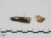 登錄號:F0007347藏品圖，第1張