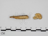 登錄號:F0007347藏品圖，第3張