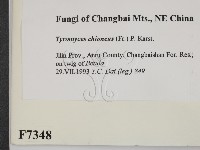 登錄號:F0007348藏品圖，第2張