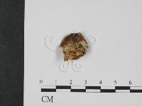 登錄號:F0007348藏品圖，第1張