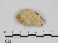 登錄號:F0007349藏品圖，第3張