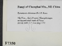 登錄號:F0007350藏品圖，第2張