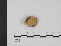 登錄號:F0007350藏品圖，第3張