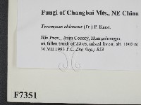 登錄號:F0007351藏品圖，第2張