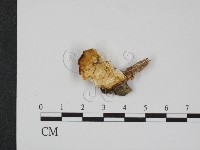 登錄號:F0007351藏品圖，第1張