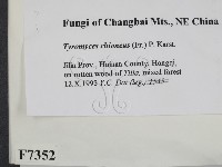 登錄號:F0007352藏品圖，第2張