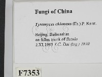 登錄號:F0007353藏品圖，第2張