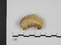 登錄號:F0007354藏品圖，第1張