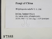 登錄號:F0007355藏品圖，第2張