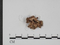 登錄號:F0007355藏品圖，第1張