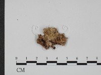 登錄號:F0007355藏品圖，第3張