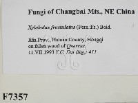 登錄號:F0007357藏品圖，第2張