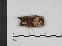 登錄號:F0007357藏品圖，第1張