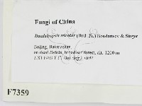 登錄號:F0007359藏品圖，第2張