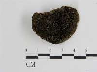 登錄號:F0007359藏品圖，第3張