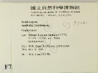登錄號:F0007360藏品圖，第2張