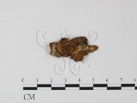 登錄號:F0007360藏品圖，第3張