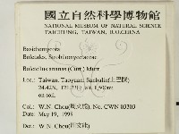 登錄號:F0007361藏品圖，第2張