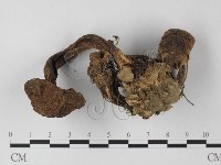 登錄號:F0007361藏品圖，第3張