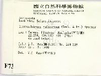 登錄號:F0007362藏品圖，第2張