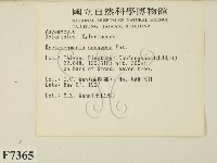 登錄號:F0007365藏品圖，第2張